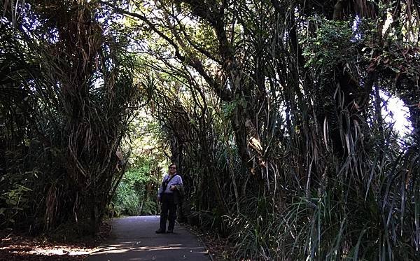 0908《紐西蘭》帕帕羅瓦國家公園 (24).jpg