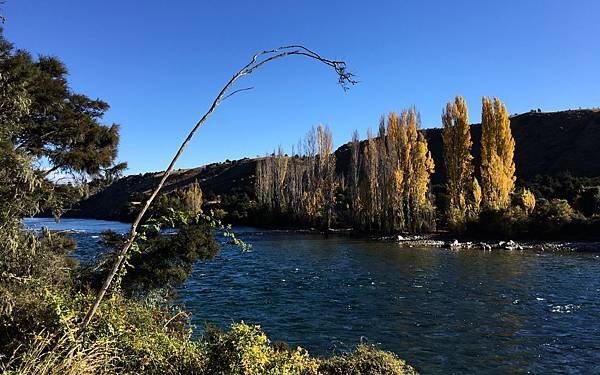 0919《Lake Wanaka Track》得意 (8).jpg