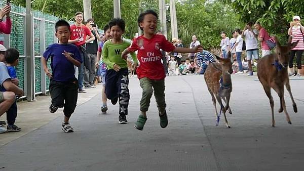 2024蘆竹炫YA農遊記一日遊5大打卡景點推薦！