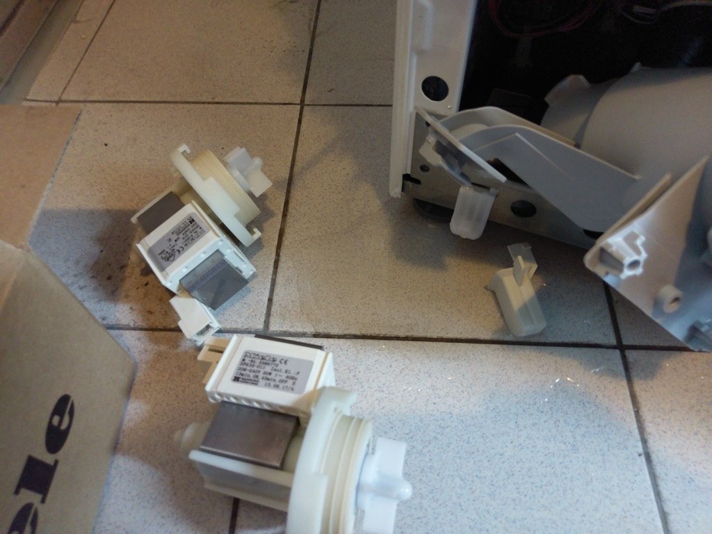 IMAG1419.jpg