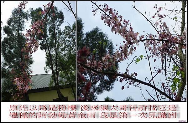 未命名21