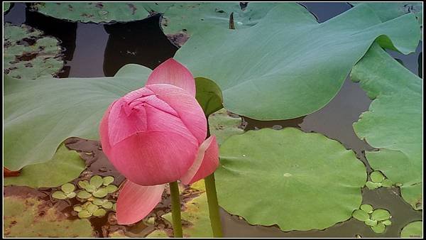 20140503_153023