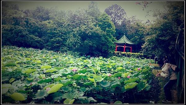 20140505_151921