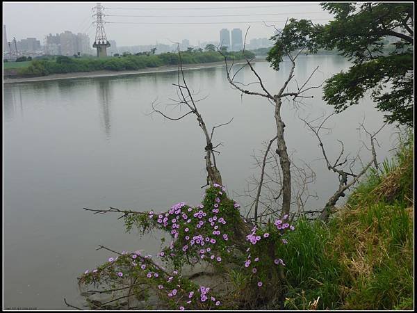 P1270692