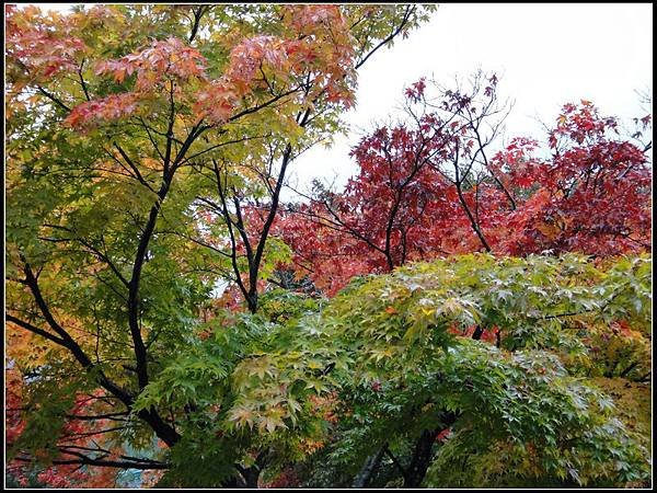 DSC00550