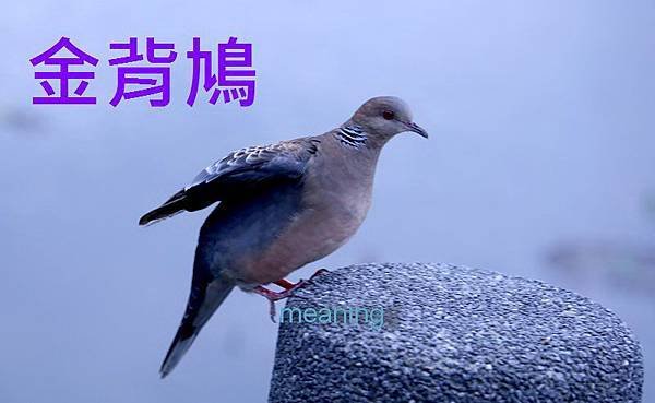 394