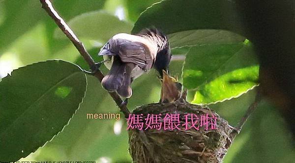 147預定