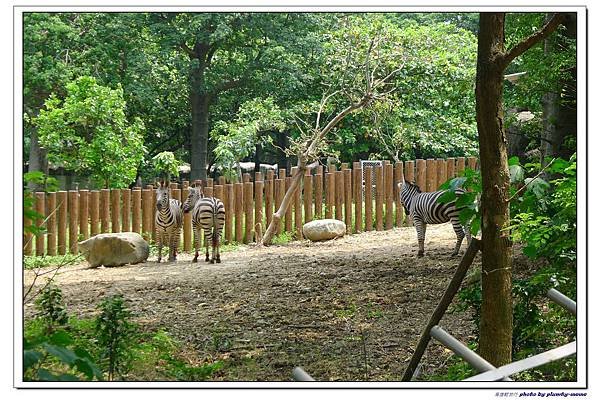 壽山動物園 (70)