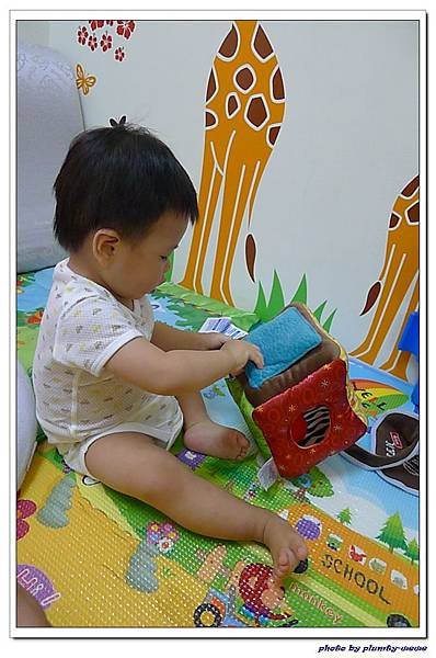 《Lamaze拉梅茲嬰幼兒玩具》哪個窗口適合我 (14)