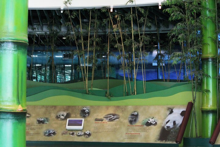 台北市動物園