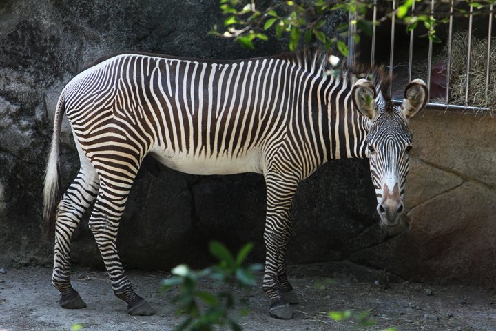 台北市動物園