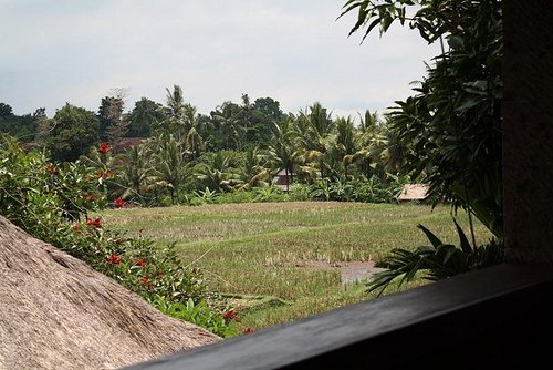 4339151297_4c5dc7eff4.jpg