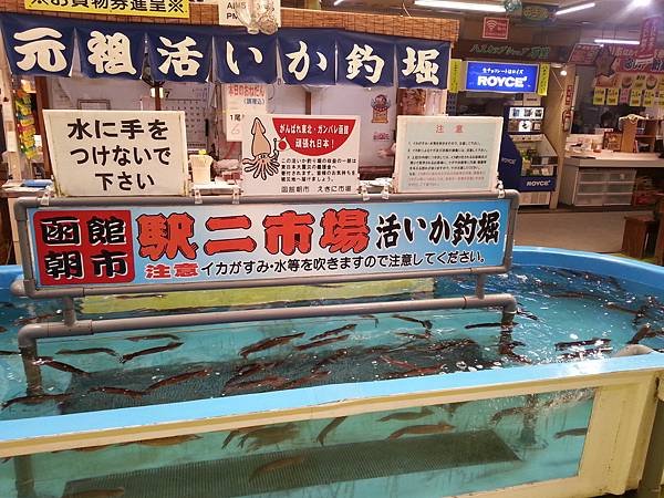 1030628~0707北海道自駕露營 Day4 - 函館市