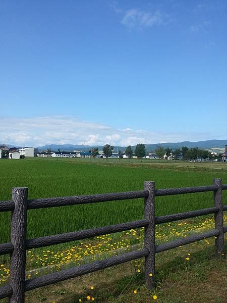 20140704_083140.jpg