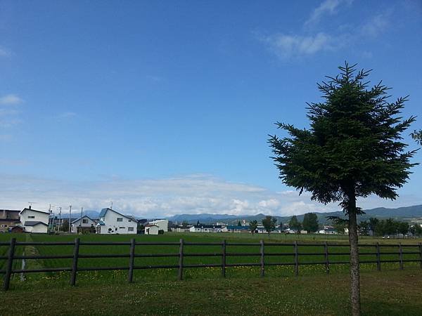 20140704_083048.jpg