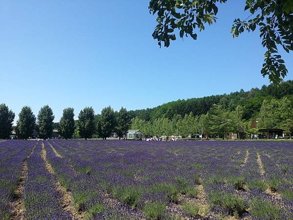 20140704_094147.jpg