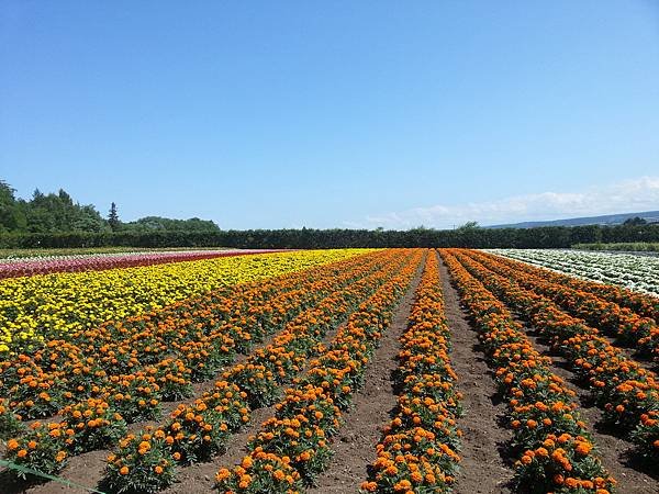 20140704_094236.jpg