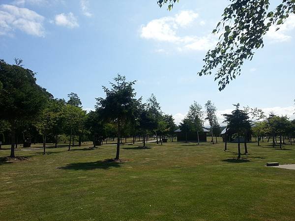 20140704_090010.jpg