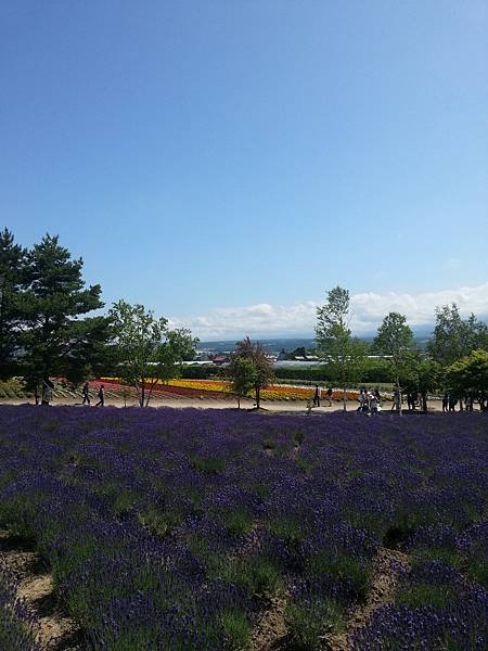 20140704_095510.jpg