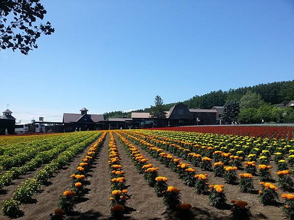 20140704_100025.jpg