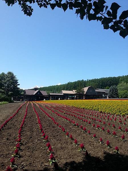 20140704_100202.jpg