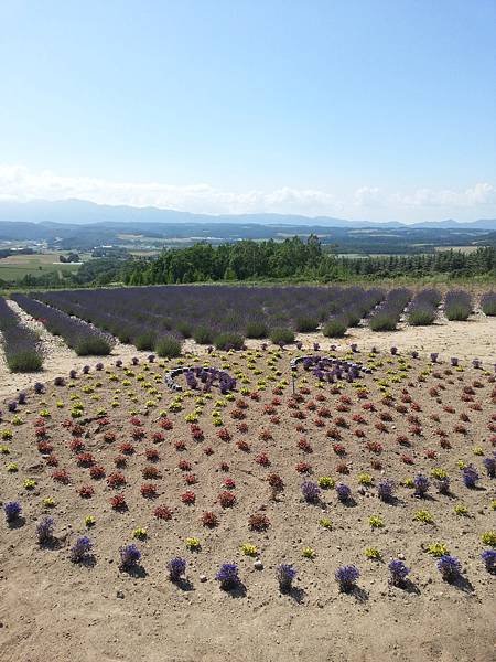 20140704_140545.jpg