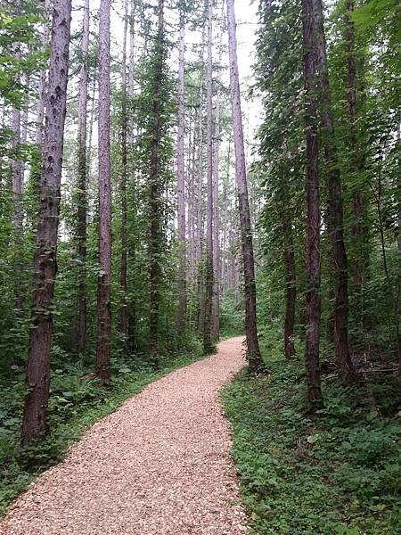 20140704_173432.jpg