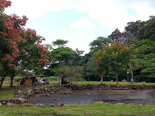 20141010_140357.jpg