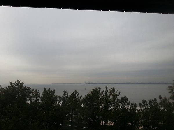 20150303_083434.jpg