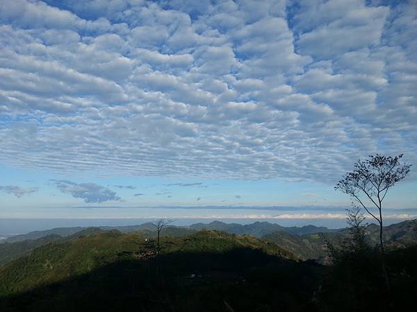 20151129_073759.jpg