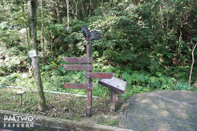 p12.JPG