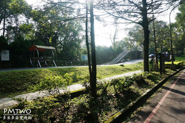 p13.JPG