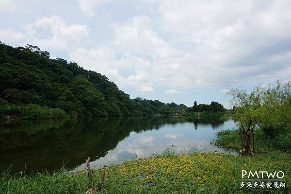 p15.jpg