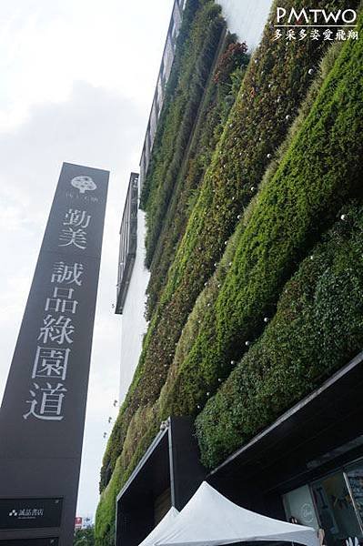 p02.JPG