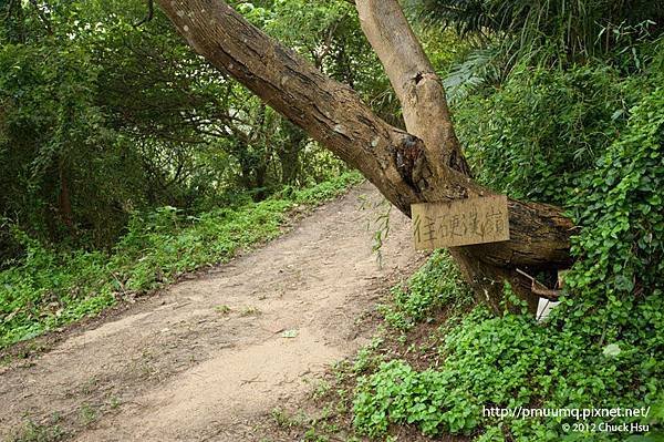 龍形古道登山口(觀音山硬漢嶺).jpg