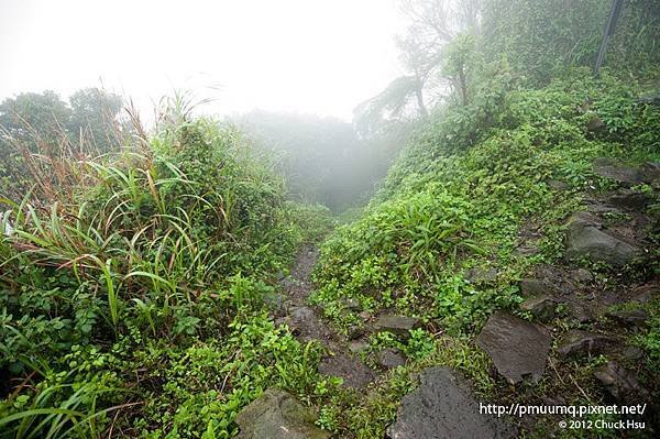 再回首往事朦朦(觀音山硬漢嶺).jpg