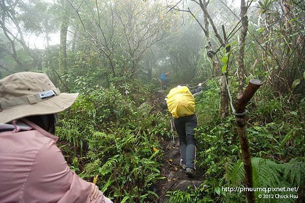 亂石坡加上糾結樹根 最難走的一段(觀音山硬漢嶺).jpg