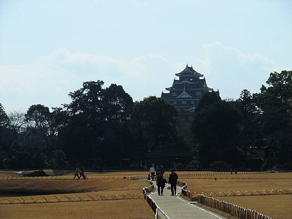 DSCF6537