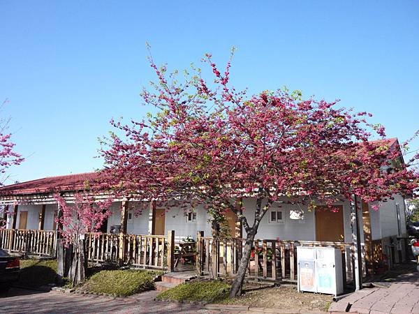 P1030533