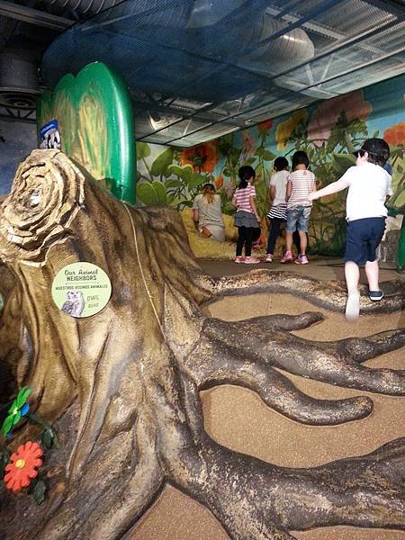 20160821_131314.jpg