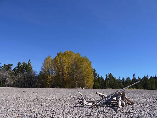 P1060887.JPG