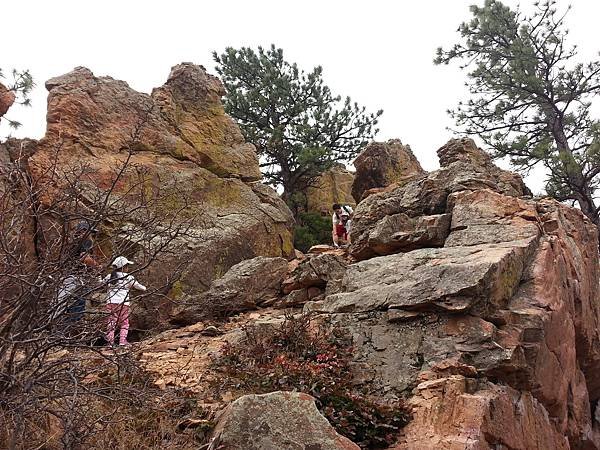 20170305_131108.jpg