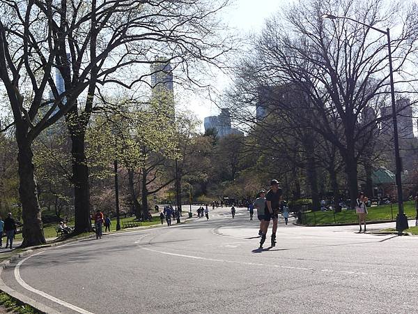 P1110560.JPG