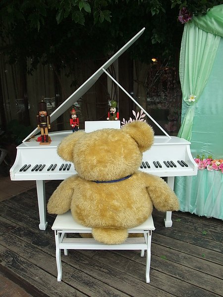 DSCF1802.JPG