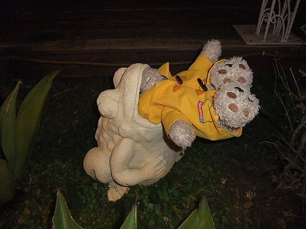 DSCF1993.JPG