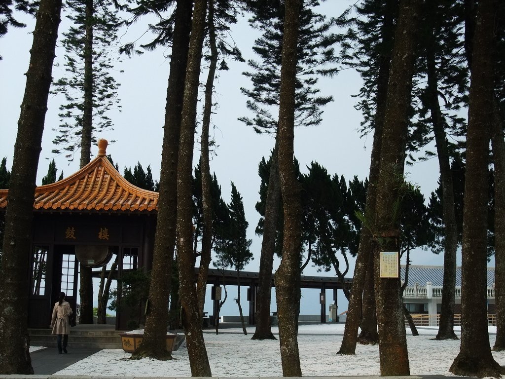 DSCF2232.JPG