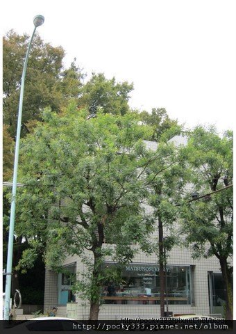 2011-10-1326.jpg