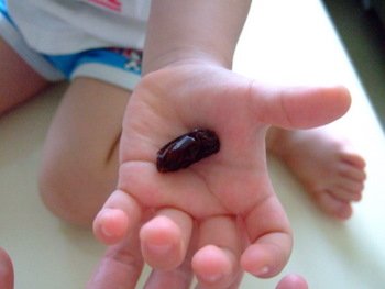 DSCF5817.JPG