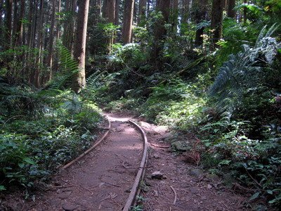 20110416加里山_078.JPG