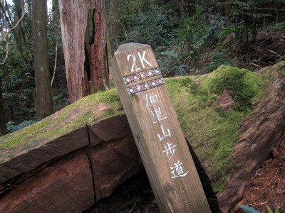 20110416加里山_080.JPG